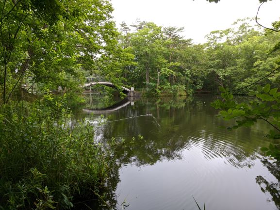 大沼公園